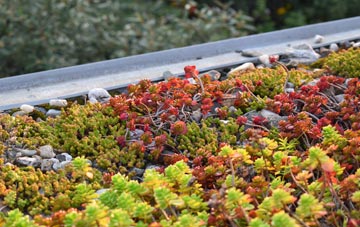 the cost of Altskeith green roof installation