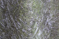 Altskeith fibreglass roof work